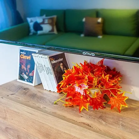 Central And Stylish Apartment 5 Min Walk To Istiklal Street In Cihangir, Beyoglu Apartment Istanbul