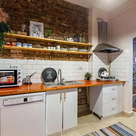 Apartment Central And Stylish Apartment 5 Min Walk To Istiklal Street In Cihangir, Beyoglu Istanbul